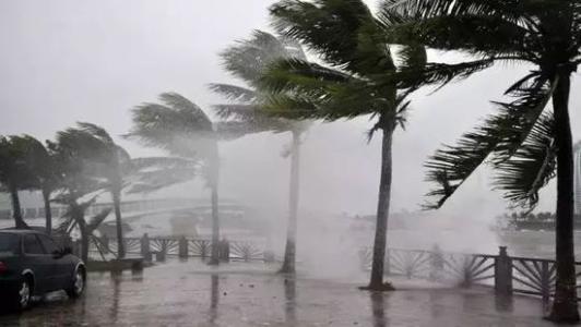 8月臺(tái)風(fēng)雨即將來(lái)，除濕機(jī)還得用起來(lái)