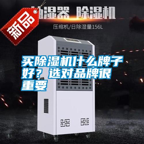 買除濕機什么牌子好？選對品牌很重要