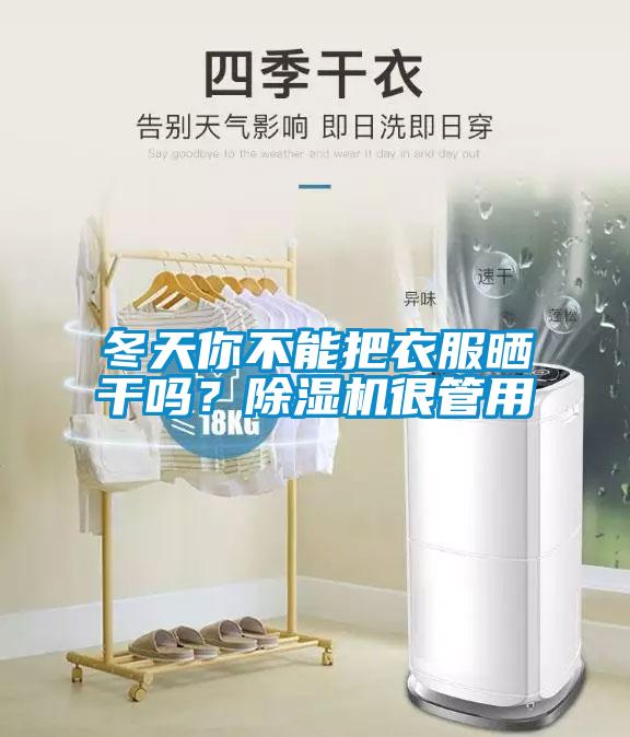 冬天你不能把衣服曬干嗎？除濕機很管用