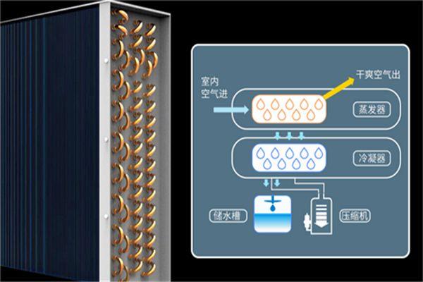 別墅為什么必須要考慮新風(fēng)除濕？