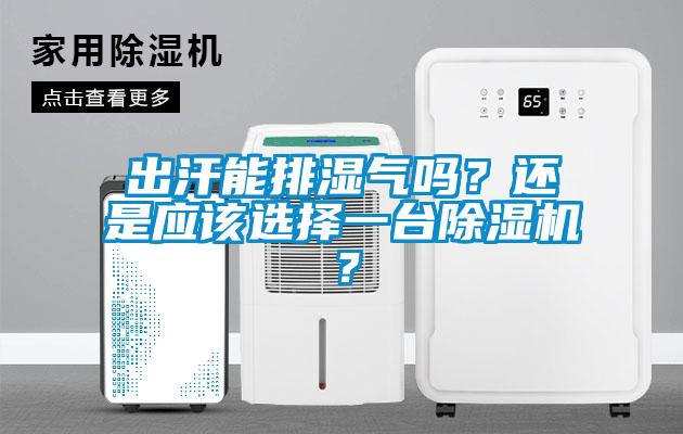 出汗能排濕氣嗎？還是應(yīng)該選擇一臺除濕機(jī)？