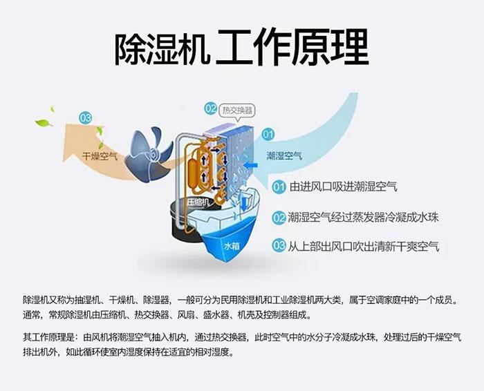 南北之爭：南方的濕冷比北方的干冷更變態(tài)？