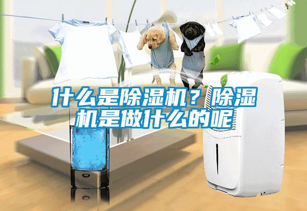 什么是除濕機(jī)？除濕機(jī)是做什么的呢