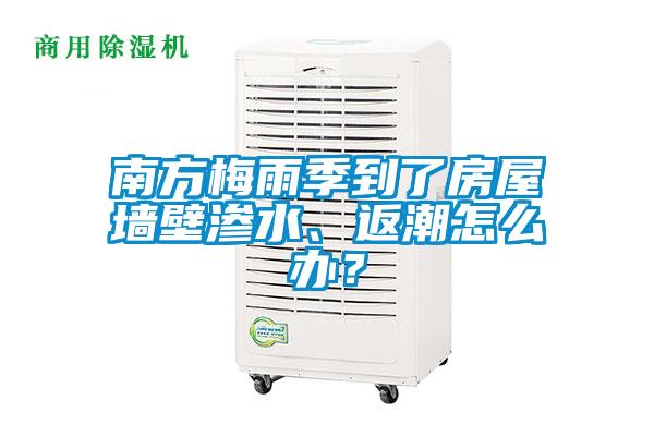 南方梅雨季到了房屋墻壁滲水、返潮怎么辦？