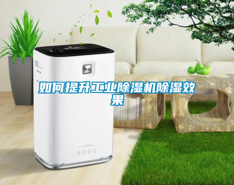 如何提升工業(yè)除濕機除濕效果