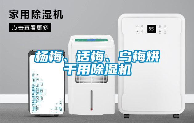 楊梅、話梅、烏梅烘干用除濕機