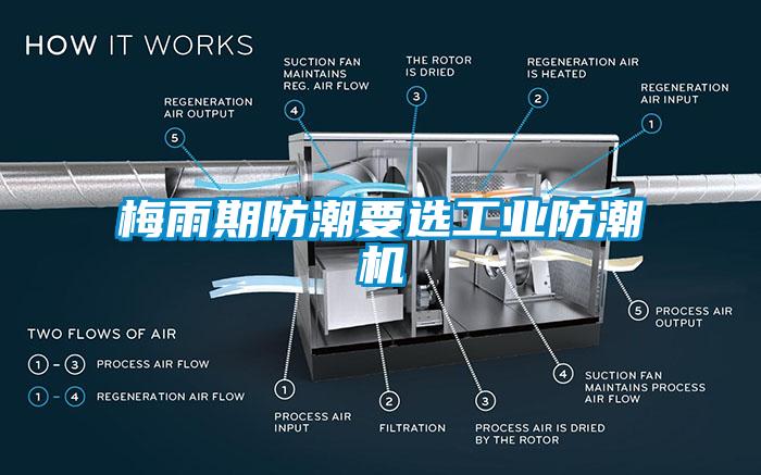 梅雨期防潮要選工業(yè)防潮機