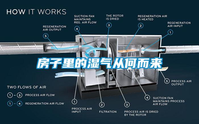 房子里的濕氣從何而來