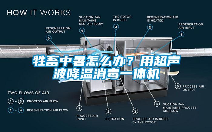 牲畜中暑怎么辦？用超聲波降溫消毒一體機