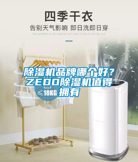 除濕機(jī)品牌哪個(gè)好？ZEDO除濕機(jī)值得擁有