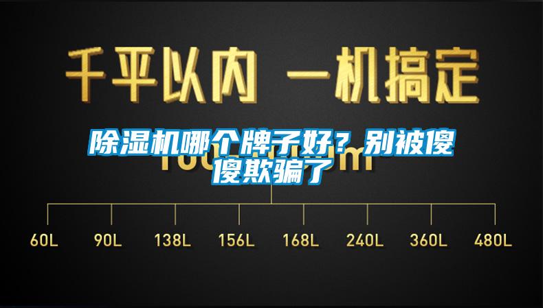 除濕機哪個牌子好？別被傻傻欺騙了