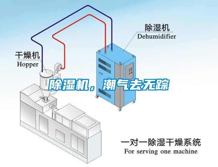 除濕機，潮氣去無蹤