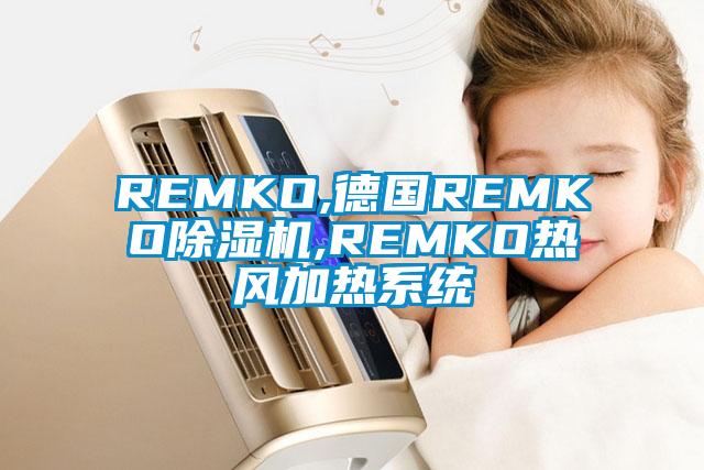 REMKO,德國(guó)REMKO除濕機(jī),REMKO熱風(fēng)加熱系統(tǒng)