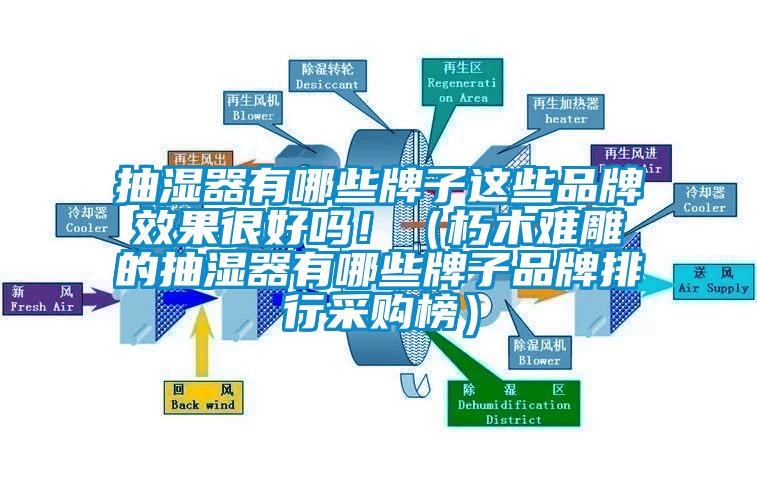 抽濕器有哪些牌子這些品牌效果很好嗎?。ㄐ嗄倦y雕的抽濕器有哪些牌子品牌排行采購榜）