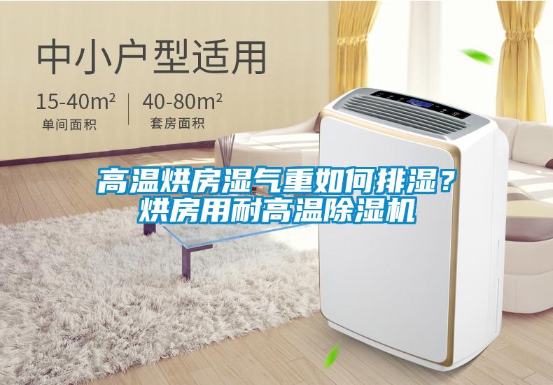 高溫烘房濕氣重如何排濕？烘房用耐高溫除濕機(jī)