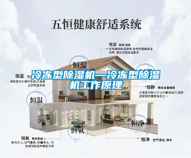 冷凍型除濕機(jī)—冷凍型除濕機(jī)工作原理