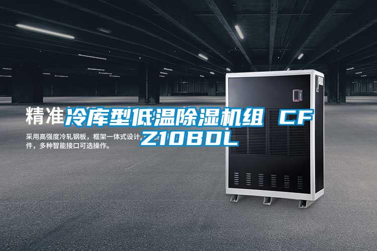 冷庫型低溫除濕機(jī)組 CFZ10BDL