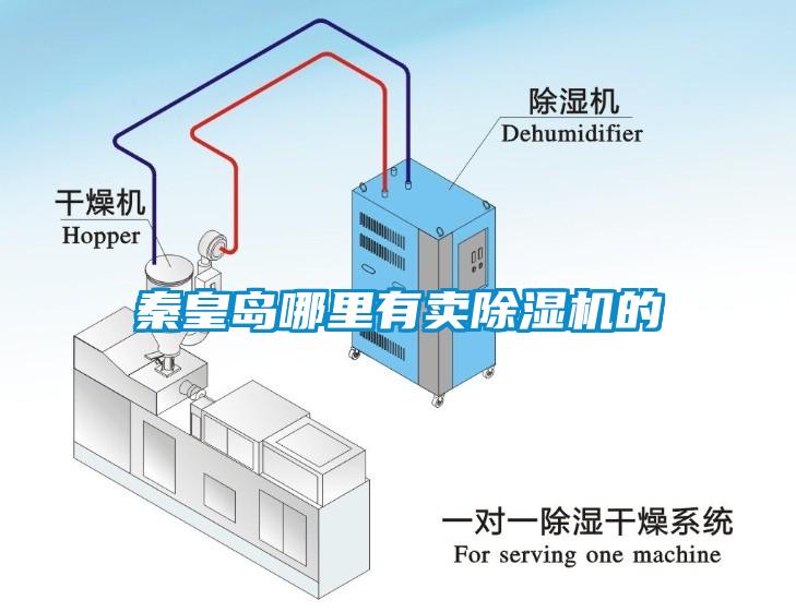 秦皇島哪里有賣除濕機(jī)的