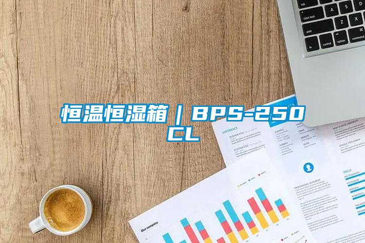 恒溫恒濕箱｜BPS-250CL