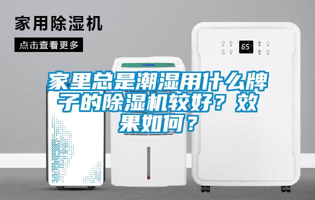 家里總是潮濕用什么牌子的除濕機較好？效果如何？