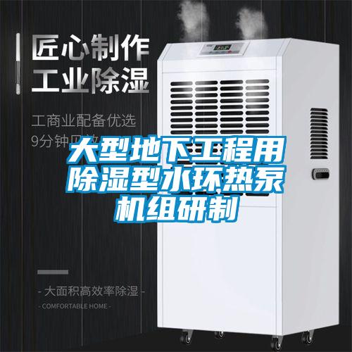 大型地下工程用除濕型水環(huán)熱泵機組研制