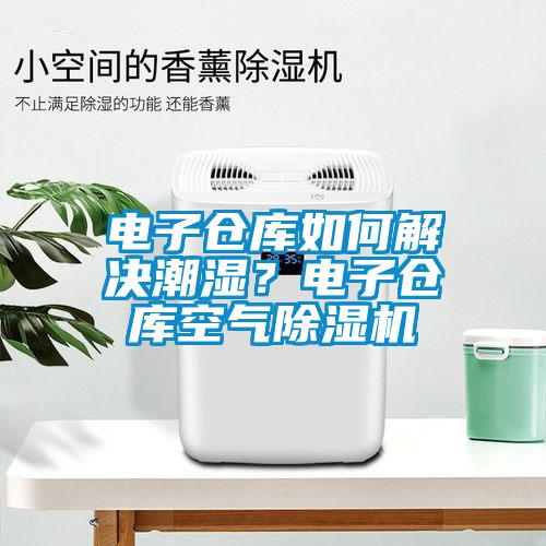 電子倉庫如何解決潮濕？電子倉庫空氣除濕機