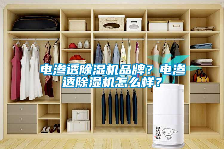 電滲透除濕機品牌？電滲透除濕機怎么樣？