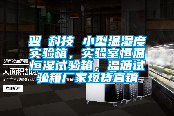 翌昇科技 小型溫濕度實驗箱，實驗室恒溫恒濕試驗箱，溫循試驗箱廠家現(xiàn)貨直銷