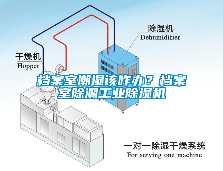 檔案室潮濕該咋辦？檔案室除潮工業(yè)除濕機