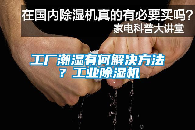 工廠潮濕有何解決方法？工業(yè)除濕機(jī)