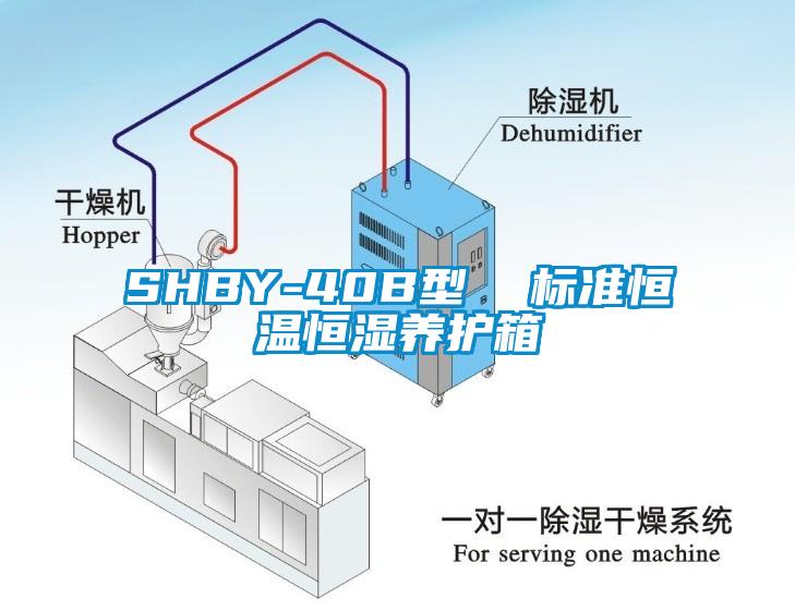 SHBY-40B型  標準恒溫恒濕養(yǎng)護箱