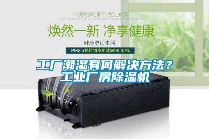 工廠潮濕有何解決方法？工業(yè)廠房除濕機(jī)