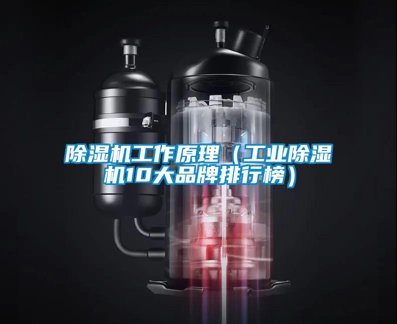 除濕機工作原理（工業(yè)除濕機10大品牌排行榜）