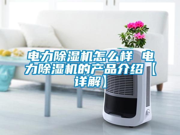 電力除濕機(jī)怎么樣 電力除濕機(jī)的產(chǎn)品介紹【詳解】