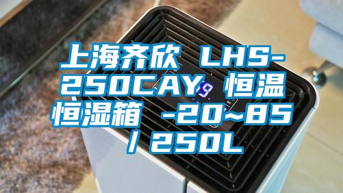 上海齊欣 LHS-250CAY 恒溫恒濕箱 -20~85℃／250L