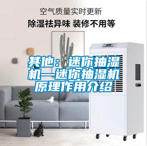 其他：迷你抽濕機—迷你抽濕機原理作用介紹