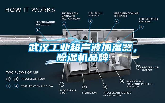 武漢工業(yè)超聲波加濕器，除濕機(jī)品牌