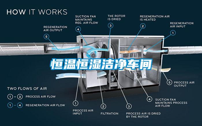 恒溫恒濕潔凈車間