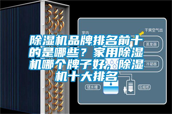 除濕機品牌排名前十的是哪些？家用除濕機哪個牌子好，除濕機十大排名