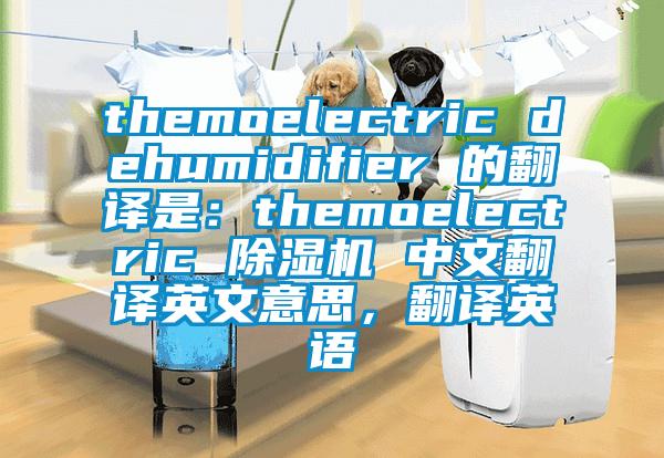 themoelectric dehumidifier 的翻譯是：themoelectric 除濕機(jī) 中文翻譯英文意思，翻譯英語