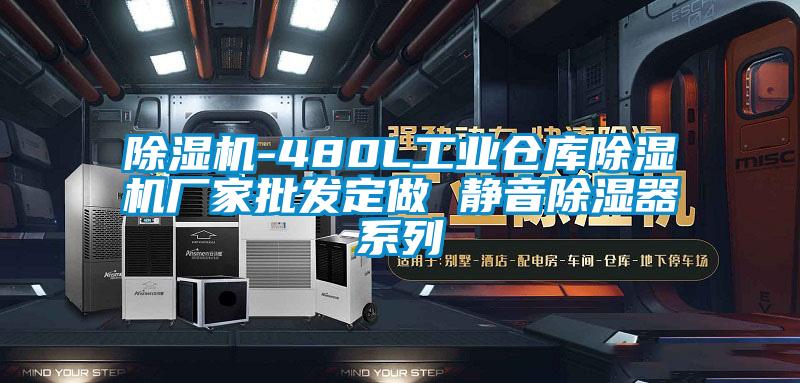 除濕機-480L工業(yè)倉庫除濕機廠家批發(fā)定做 靜音除濕器系列