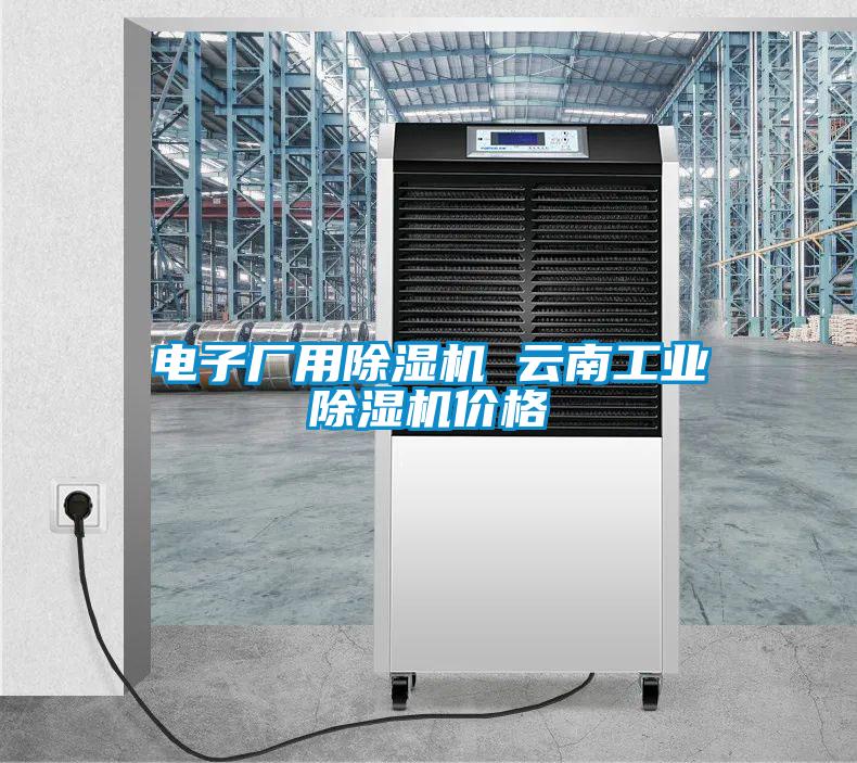 電子廠用除濕機 云南工業(yè)除濕機價格