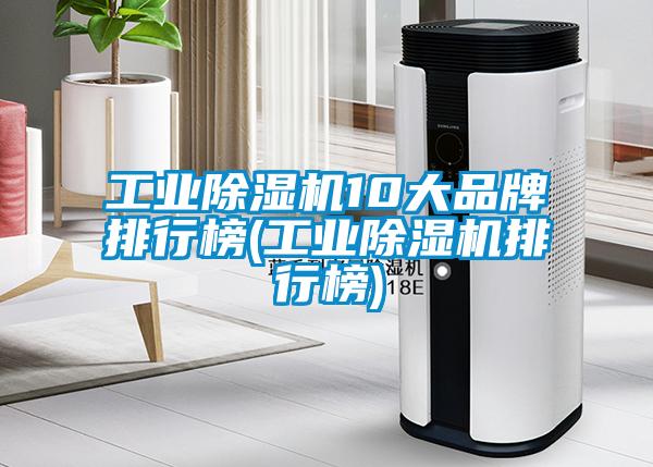 工業(yè)除濕機(jī)10大品牌排行榜(工業(yè)除濕機(jī)排行榜)