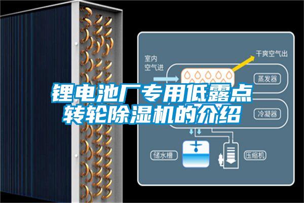 鋰電池廠專用低露點(diǎn)轉(zhuǎn)輪除濕機(jī)的介紹