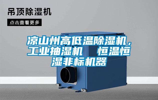 涼山州高低溫除濕機，工業(yè)抽濕機  恒溫恒濕非標(biāo)機器