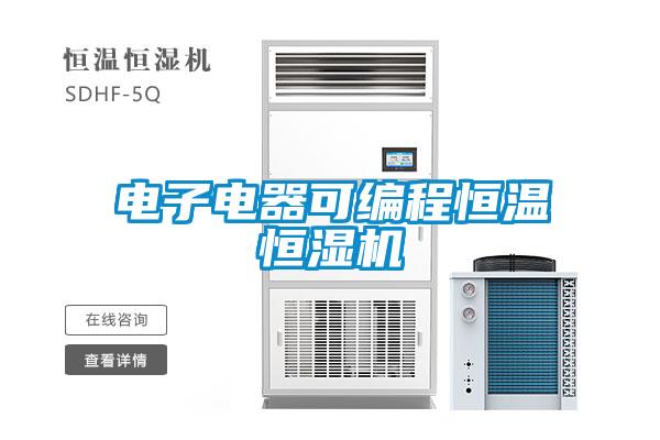 電子電器可編程恒溫恒濕機(jī)