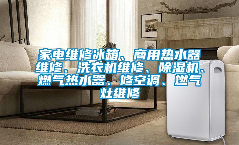 家電維修冰箱、商用熱水器維修、洗衣機維修、除濕機、燃?xì)鉄崴?、修空調(diào)、燃?xì)庠罹S修