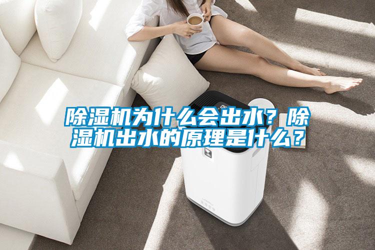 除濕機為什么會出水？除濕機出水的原理是什么？