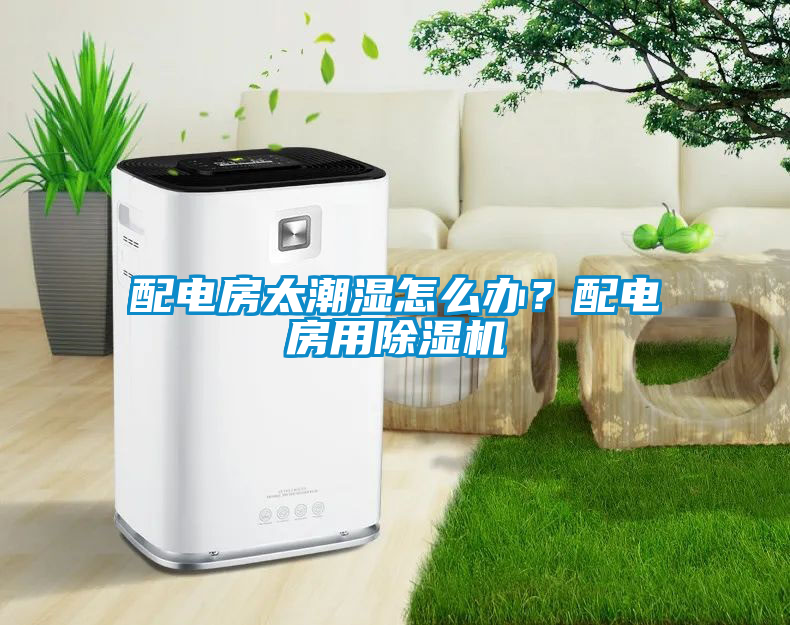 配電房太潮濕怎么辦？配電房用除濕機(jī)