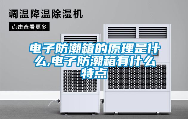 電子防潮箱的原理是什么,電子防潮箱有什么特點(diǎn)